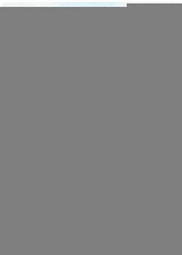 Сертификат на Анкер для высоких нагрузок (болт, оцинк. сталь) 3